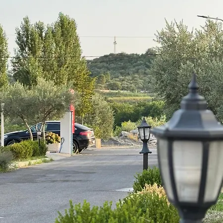 A & V Dodani